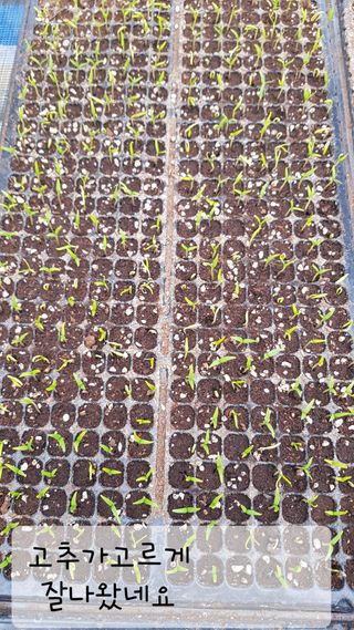 ㄱㅇㄹㄴㅂ님의 자유주제 · 자유게시판 작성글 사진