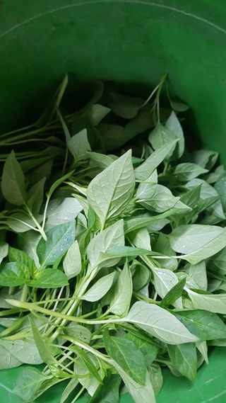 ㄱㅇㄹㄴㅂ님의 자유주제 · 자유게시판 작성글 사진