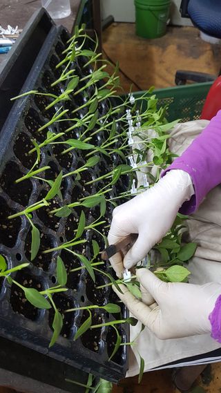 ㄱㅇㄹㄴㅂ님의 자유주제 · 자유게시판 작성글 사진