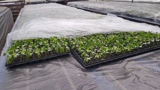 ㄱㅇㄹㄴㅂ님의 자유주제 · 자유게시판 작성글 사진