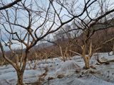 팜모닝 자유주제·자유게시판 게시글 이미지