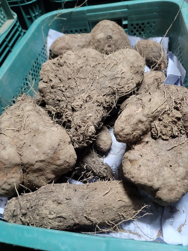 둥근마지기님의 장터 판매 상품 [둥근마] 첨부 사진