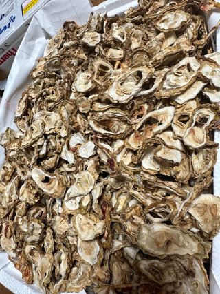 고북면공심채 농인님의 작성글 사진