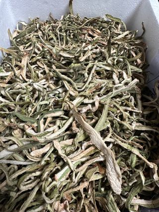 고북면공심채 농인님의 작성글 사진