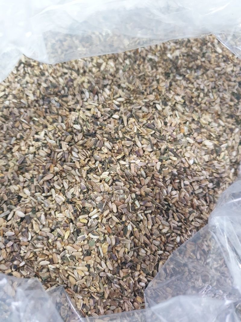 장터 상품 [국산 건곤드레 곤드레씨앗] 썸네일