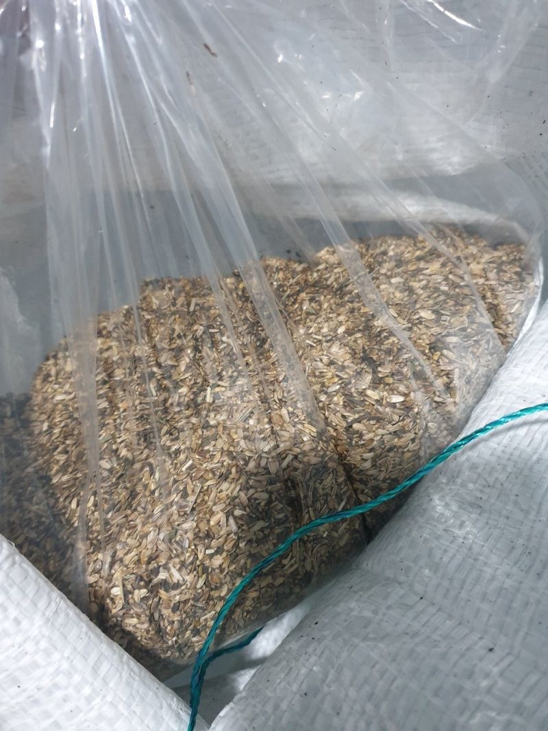 해피니스님의 장터 판매 상품 [국산 건곤드레 곤드레씨앗] 첨부 사진