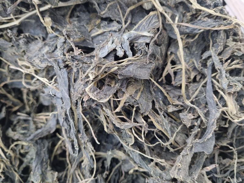 해피니스님의 장터 판매 상품 [국산 건곤드레 곤드레씨앗] 첨부 사진