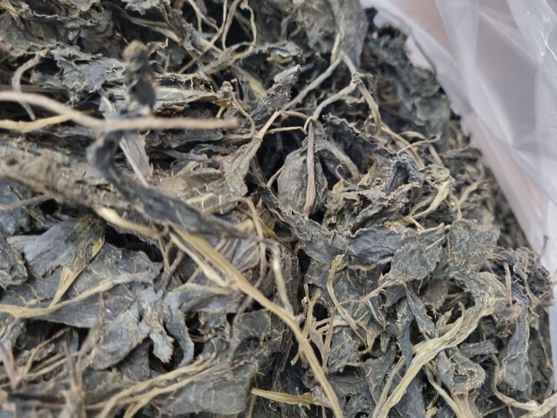 해피니스님의 장터 판매 상품 [국산 건곤드레 곤드레씨앗] 첨부 사진