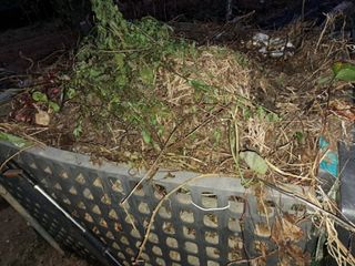 나도농부님의 내가 아는 최고의 농부는? · 참여글 작성글 사진