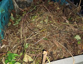 나도농부님의 내가 아는 최고의 농부는? · 참여글 작성글 사진