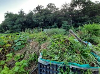 나도농부님의 내가 아는 최고의 농부는? · 참여글 작성글 사진