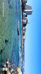 팜모닝 내가 아는 최고의 농부는?·참여글 게시글 이미지