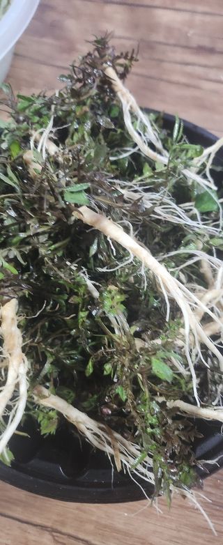 율촌 김은숙님의 자유주제 · 자유게시판 작성글 사진