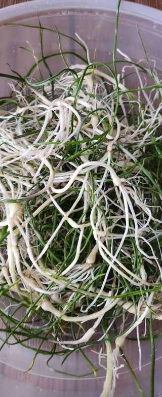 율촌 김은숙님의 자유주제 · 자유게시판 작성글 사진