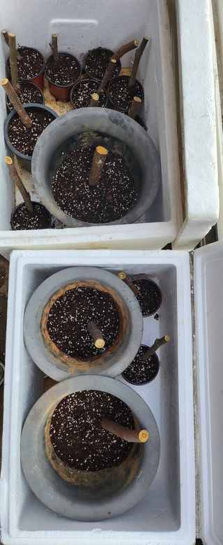 율촌 김은숙님의 자유주제 · 자유게시판 작성글 사진