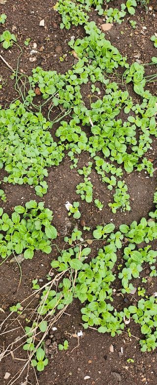율촌 김은숙님의 자유주제 · 자유게시판 작성글 사진