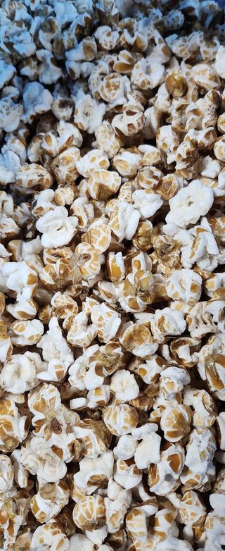 율촌 김은숙님의 자유주제 · 자유게시판 작성글 사진