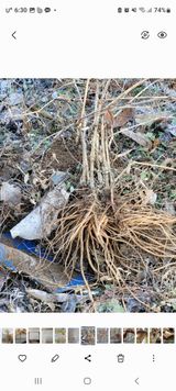 팜모닝 · 게시글 이미지