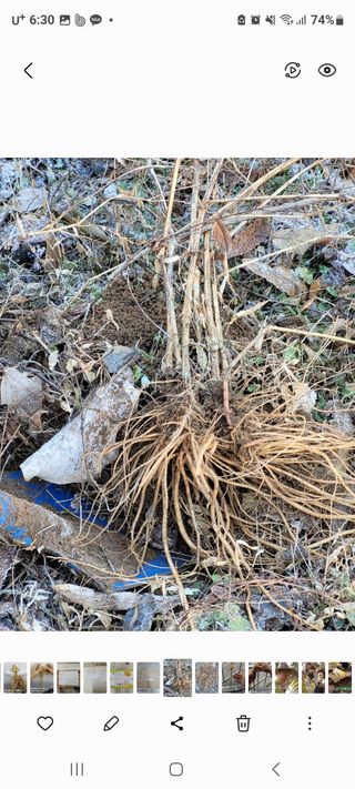 정찬영님의 작성글 사진