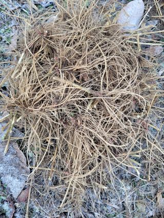 정찬영님의 작성글 사진