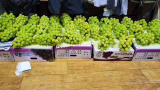 영천사인포도님의 포도 · 자유게시판 작성글 사진