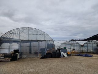 정대장님의 자유주제 · 자유게시판 작성글 사진