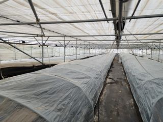 정대장님의 자유주제 · 자유게시판 작성글 사진