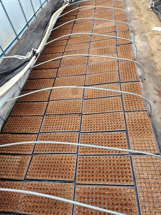 정대장님의 자유주제 · 자유게시판 작성글 사진