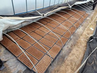 정대장님의 자유주제 · 자유게시판 작성글 사진