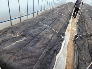 정대장님의 자유주제 · 자유게시판 작성글 사진