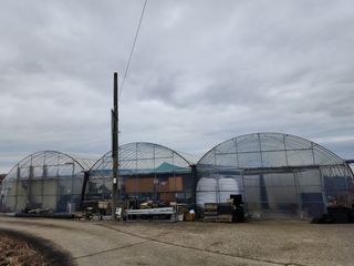 정대장님의 자유주제 · 자유게시판 작성글 사진