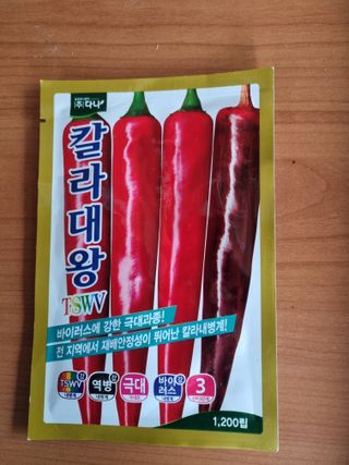 공석래님의 작성글 사진