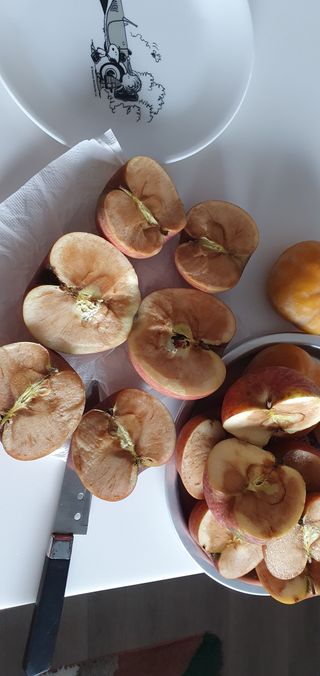 김귀분님의 자유주제 · 자유게시판 작성글 사진