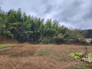 초보농사꾼.님의 자유주제 · 자유게시판 작성글 사진