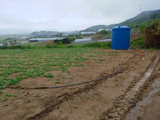 전영일님의 파 · 자유게시판 작성글 사진