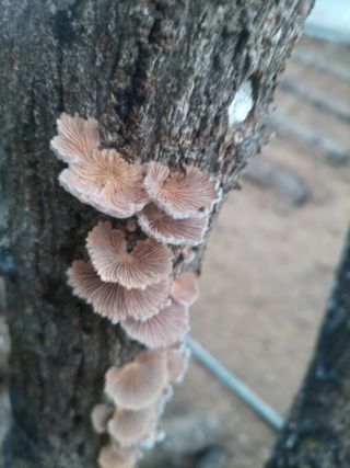 산들농장님의 자유주제 · 자유게시판 작성글 사진