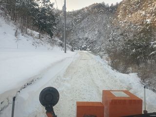 변호연님의 두릅 · 영농일지 작성글 사진