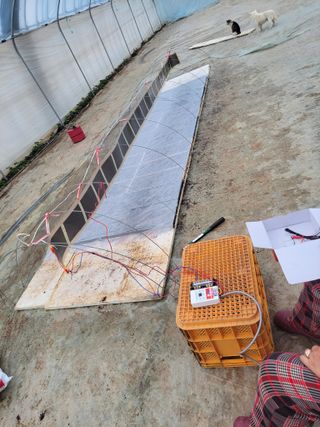 고추총각님의 고추 · 파종•정식 작성글 사진