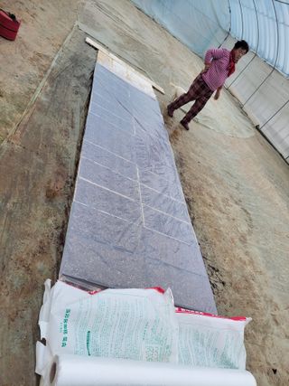 고추총각님의 고추 · 파종•정식 작성글 사진