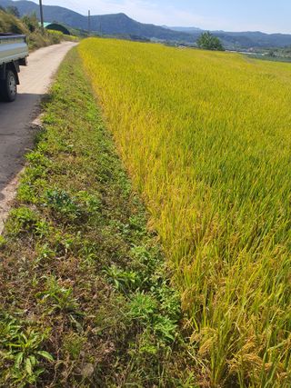 김영복님의 그동안 생산한 농작물은? · 참여글 작성글 사진