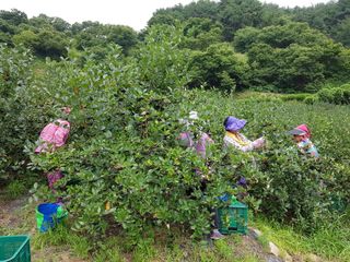 아름다운맘님의 팜모닝 · 출석 작성글 사진