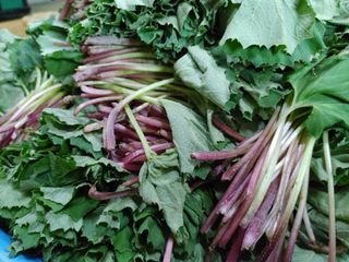 약초를사랑한짱아줌마님의 그동안 생산한 농작물은? · 참여글 작성글 사진