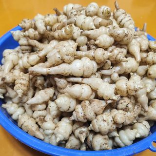 약초를사랑한짱아줌마님의 그동안 생산한 농작물은? · 참여글 작성글 사진