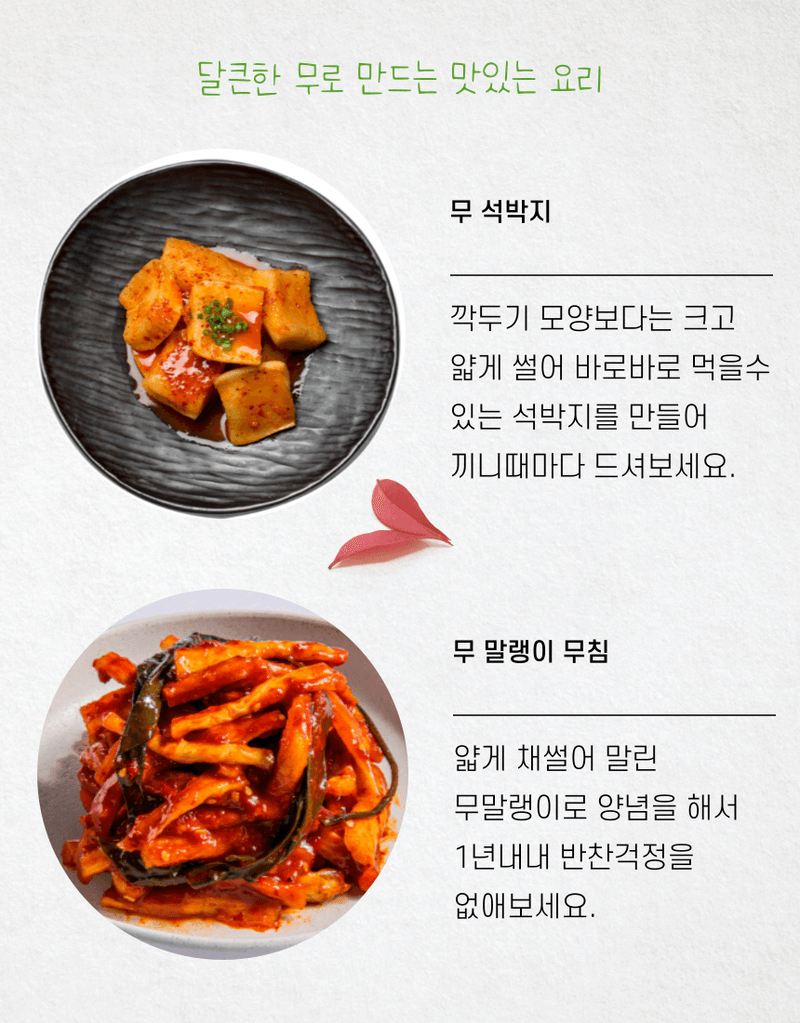 제주대정 방점순님의 장터 판매 상품 [제주도 비세척 월동무 10kg] 첨부 사진