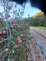 팜모닝 그동안 생산한 농작물은?·참여글 게시글 이미지