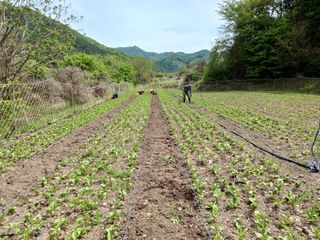 황덕순 님의 농사, 무엇이든 물어보세요! · 참여글 작성글 사진