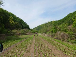 황덕순 님의 농사, 무엇이든 물어보세요! · 참여글 작성글 사진