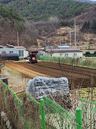 맹태임님의 우리동네 · 동네수다 작성글 사진