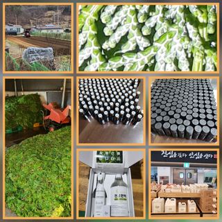 맹태임님의 우리동네 · 동네수다 작성글 사진