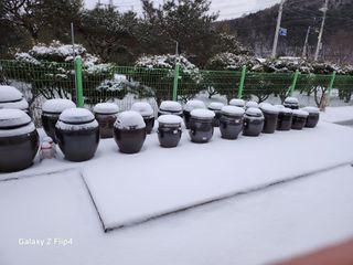 맹태임님의 우리동네 · 동네수다 작성글 사진